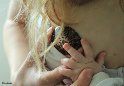 Coquillage Allaitement